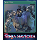 RAIDEN (Trading Card)