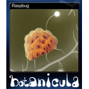 Raspbug