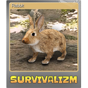 Rabbit (Foil)