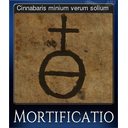 Cinnabaris minium verum solium