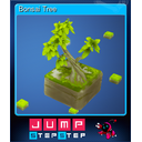 Bonsai Tree (Trading Card)