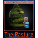The Reserves of The Nation (Trading Card)