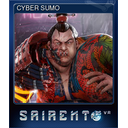 CYBER SUMO