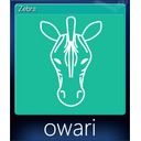 Zebra