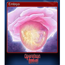 Embryo