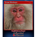 Snow Monkeys