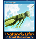 Grasshopper