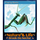 Praying Mantis (Trading Card)