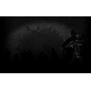 The SWAT (Profile Background)