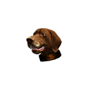 :smile_3f: