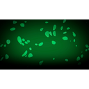 Wanderer Dungeon (Profile Background)