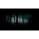 Fog