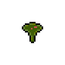 :dibth_mushroom:
