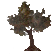 :Lonely_tree: