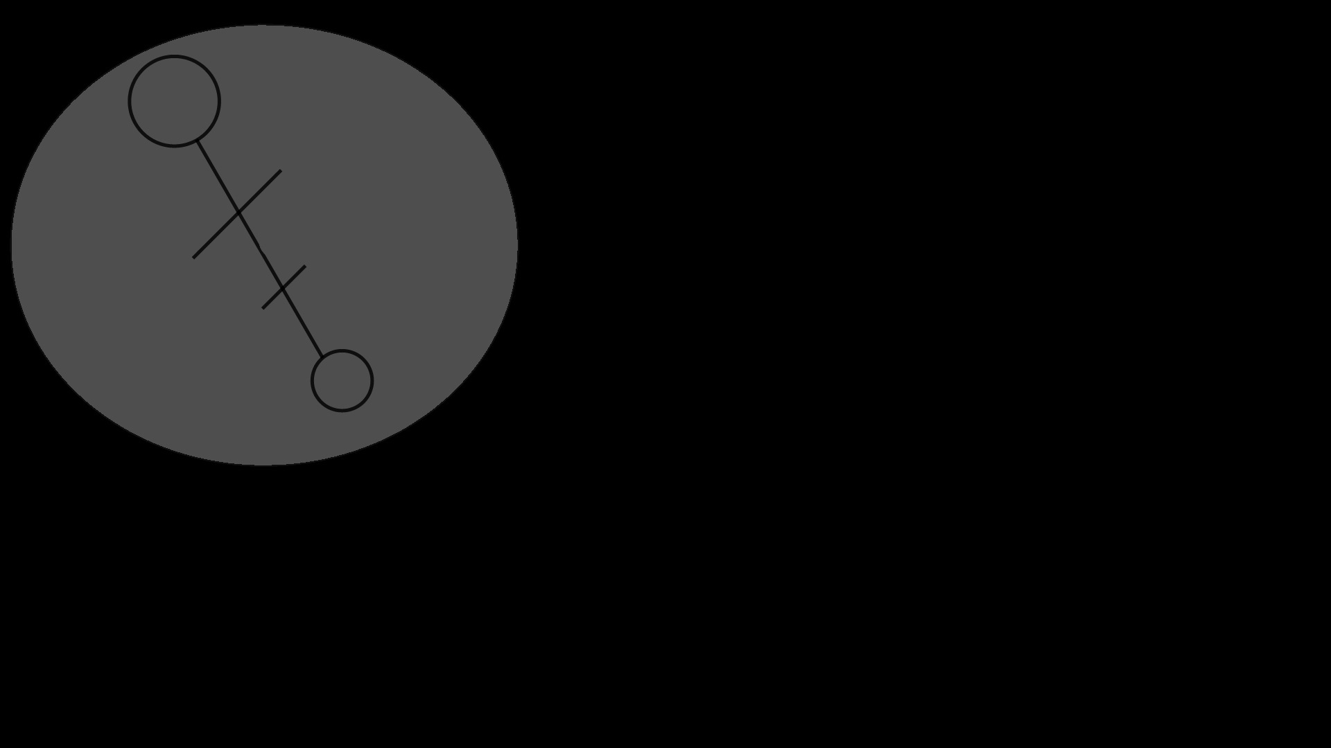  Symbol of the Order "Tungulus"