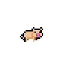 :agepig: