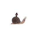 :snail_timen: