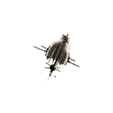 :SESpaceStation: