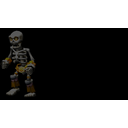 Skeleton