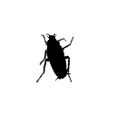 :little_bug: