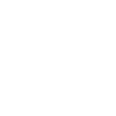 :_Bullet_: