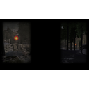 AMOK Background Forest