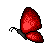 :Red_Butterfly: