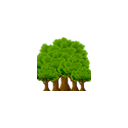 :foresttrees: