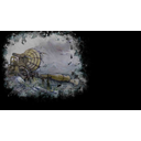 The Plain (Profile Background)