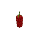 :CavemanRaspberry: