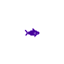 :shark_f: