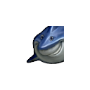 :sharkyshark: