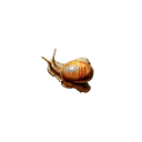 :cwd_snail: