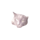 :spacecacos: