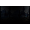 Forest Region