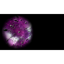 Asteroids