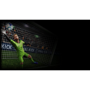 Final Goalie background 2