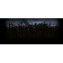 Cornfield