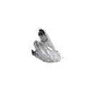 :butterflycrystal: