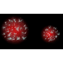 Portal