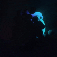 🐍 Gamedust - Plasma Eel