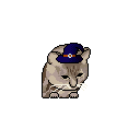 :Wizardhatcat: