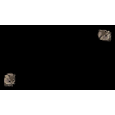 Two Cat
