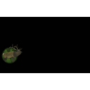 The Forest