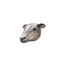 :realsheep: