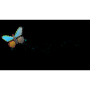 Buttlefly