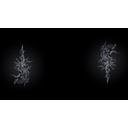 Bullet Tree (Profile Background)