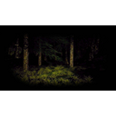 Deep Forest