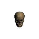 :SkullGuard: