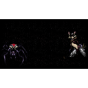 The Wild and the Widow